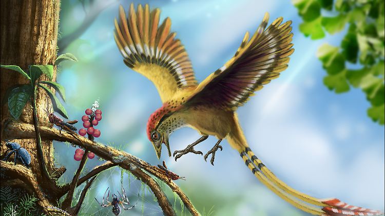 Der Vogel könnte im Erdmittelalter einmal so ausgesehen haben.