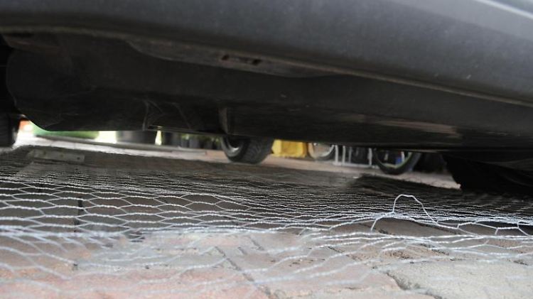Maschendraht-Gitter aus dem Baumarkt können Marder abhalten, unter die Motorhaube zu kriechen.