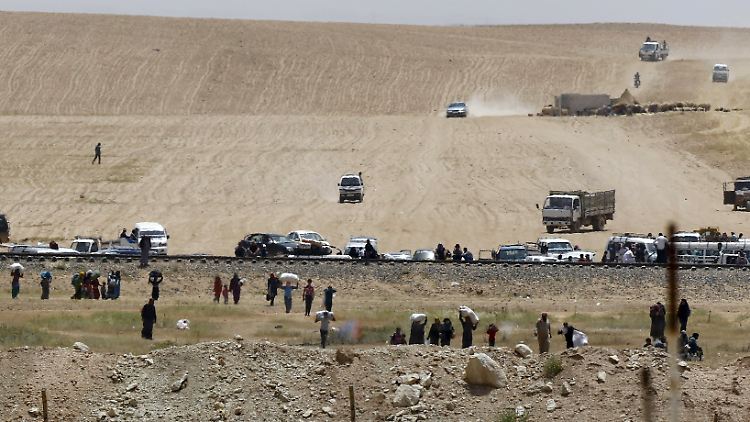 Wegen der Kämpfe in Hassaka fliehen immer mehr Syrer in die Türkei. Dort erwartet sie die Grenzpolizei der Provinz Şanlıurfa.