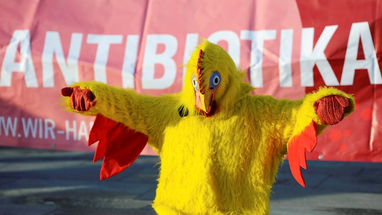 Die Verwendung von Antibiotika in der Tierhaltung hat auch Auswirkungen auf die Gesundheit des Menschen. 