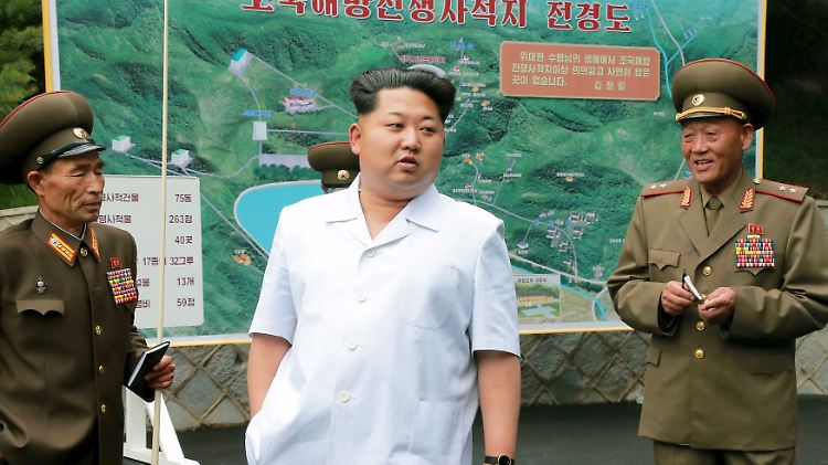 Immer alle Hände voll zu tun: Kim hat viele Aufgaben.