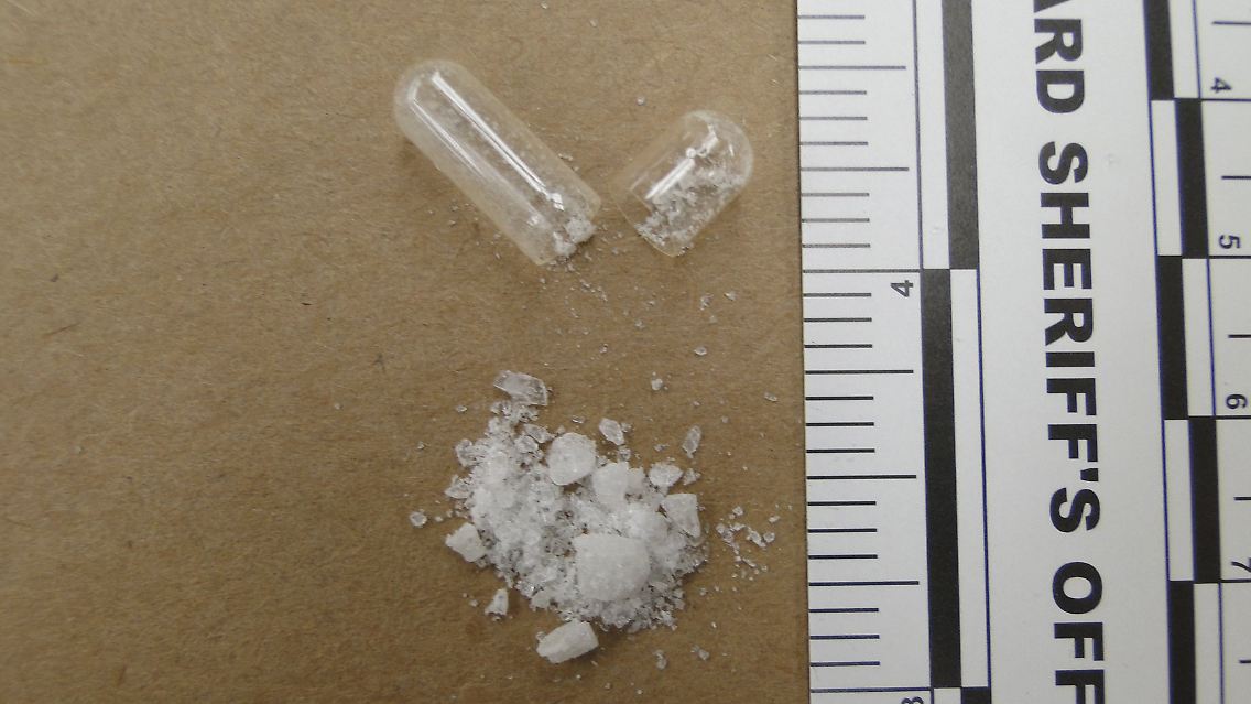 2015-06-10T110144Z_1554014538_GF10000122411_RTRMADP_3_USA-FLORIDA-FLAKKA.JPG2206804326874226004.jpg
