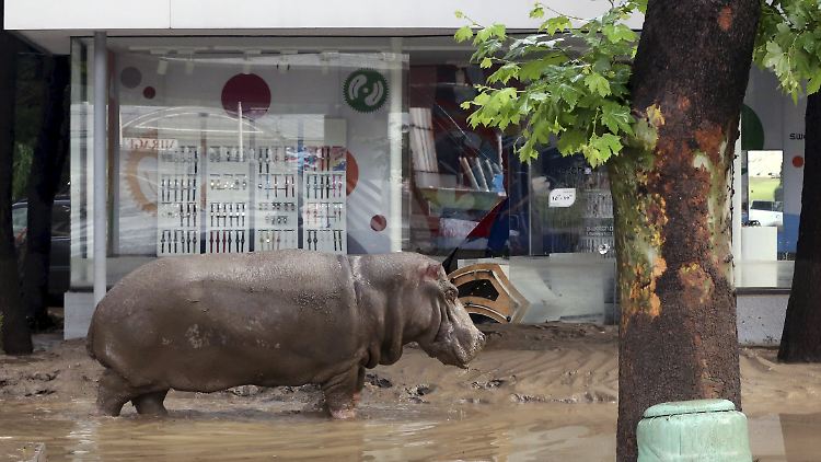 2015-06-14T072314Z_1822236510_GF10000126975_RTRMADP_3_GEORGIA-FLOOD.JPG4133833149156175897.jpg