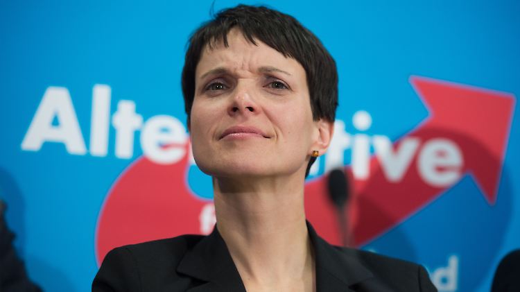 Künftig soll es bei der AfD nur noch einen Partei-Vorsitzenden geben: Frauke Petry bewirbt sich.