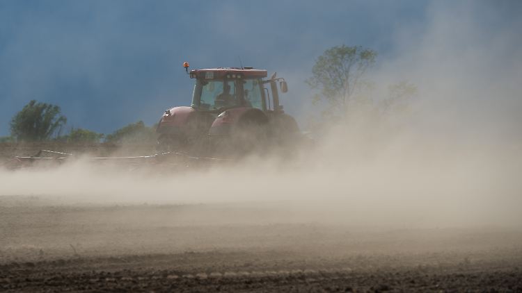 Umgerechnet auf die landwirtschafliche Nutzfläche werden mehr als 2,6 Millionen Hektar "für die Tonne" bewirtschaftet.