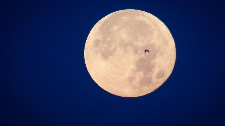 Vollmond herrscht am frühen Morgen des 2. Juli. Die Nacht vom 1. zum 2. Juli ist die kürzeste Vollmondnacht in diesem Jahr.