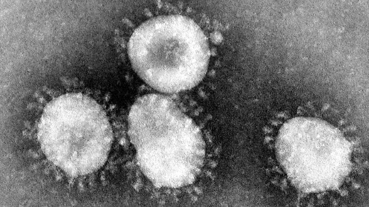 Das Handout des amerikanischen Centers for Disease Control (CDC) zeigt einen Coronavirus unter dem Mikroskop.