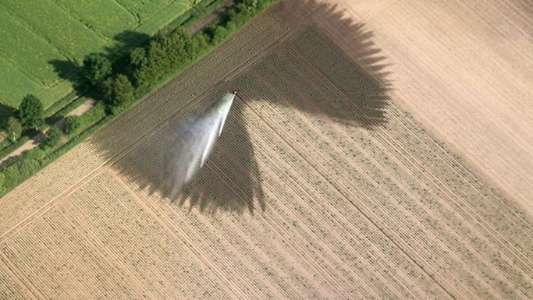 Auch die Trockenheit setzt den Landwirten zu.