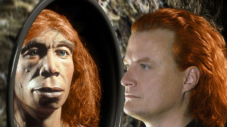 Neandertaler und moderne Menschen haben miteinander Nachkommen gezeugt.