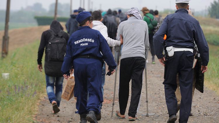 Ungarische Grenzpolizisten greifen eine Gruppe von Asylsuchenden auf.