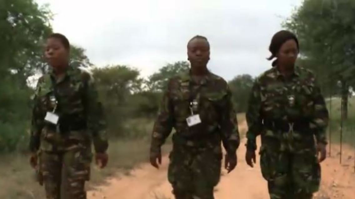 black mambas.JPG