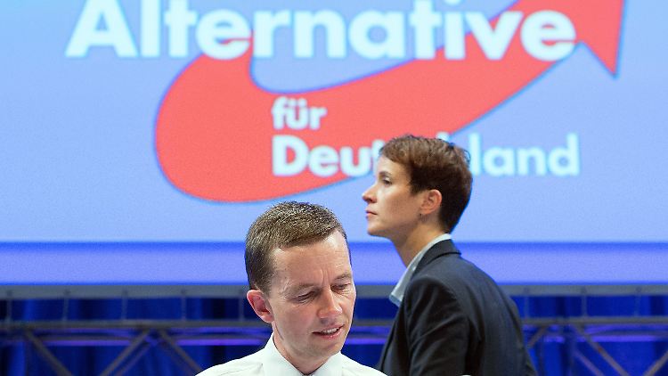 Der liberal-konservative Lucke kämpft um die Zukunft der Partei nach seinen Vorstellungen.