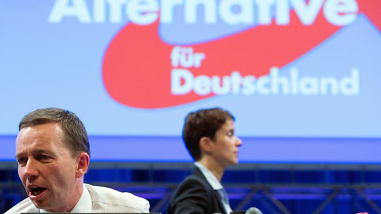 Möglicherweise ihr letzter gemeinsamer Auftritt: Lucke und Petry in Essen.