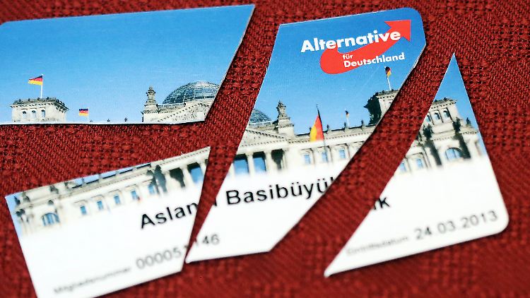 Die neue Vorsitzende will eine Austrittswelle aus der AfD verhindern.