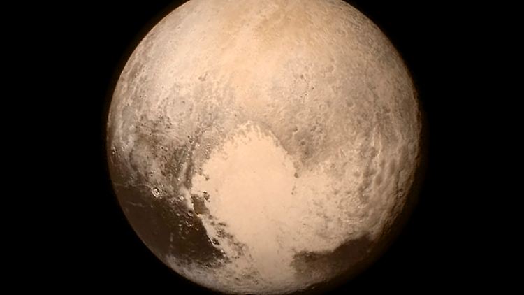 60076446.jpg
