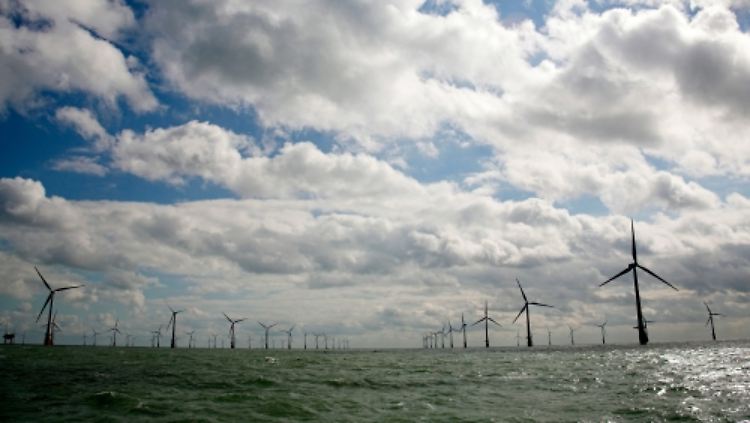 Panoramablick auf den größten Offshore-Windpark der Welt.