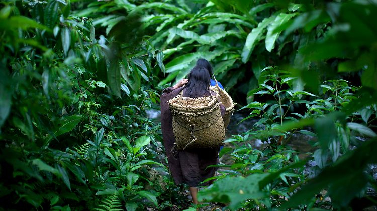 Der Ursprung der Verbindung zwischen den Völkern im Amazonas-Gebiet und Südost-Asien bleibt rätselhaft.