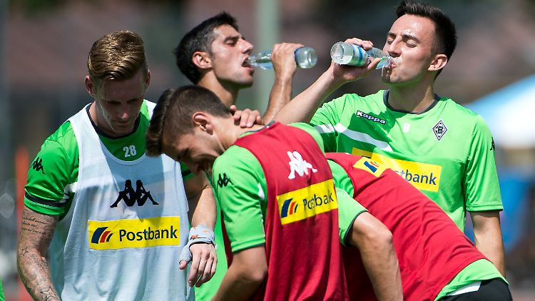 Zwei Neue mittendrin: Lars Stindl (hinten Mitte) und Josip Drmic (hinten rechts).