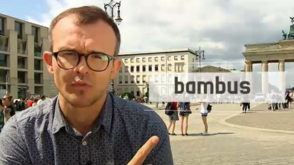bambus.JPG
