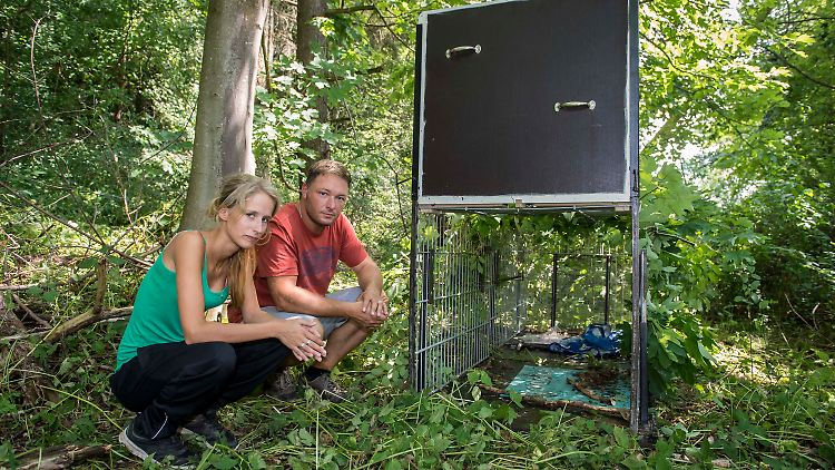 Sven Hossalla und seine Freundin Lisa Metzler haben Flecki gerade erst von einer Bekannten in Kroatien übernommen.