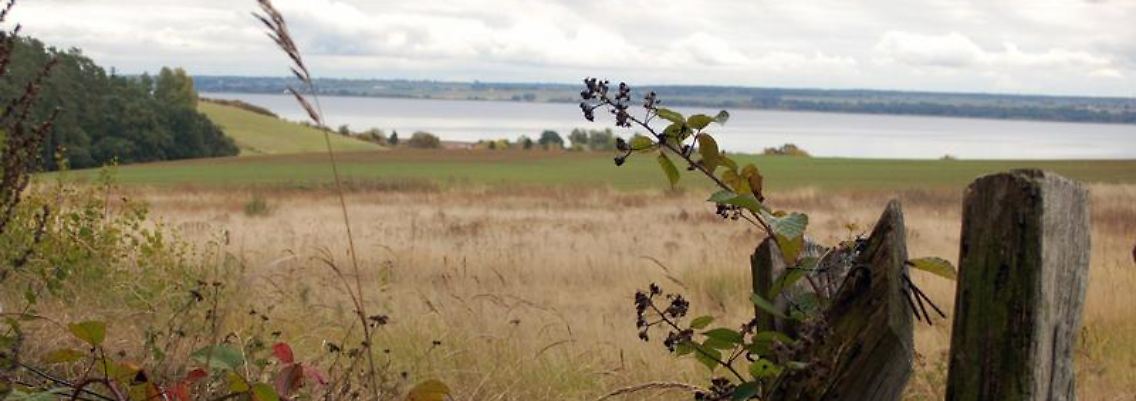 Herbstlicher Ausblick - am Horizont liegt der Kummerower See, der größte der Mecklenburgischen Schweiz.