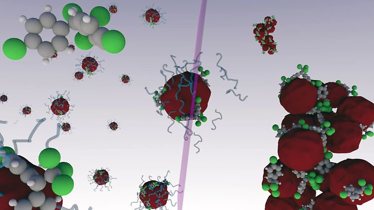 Durch UV-Licht verklumpen die speziellen Nanopartikel.