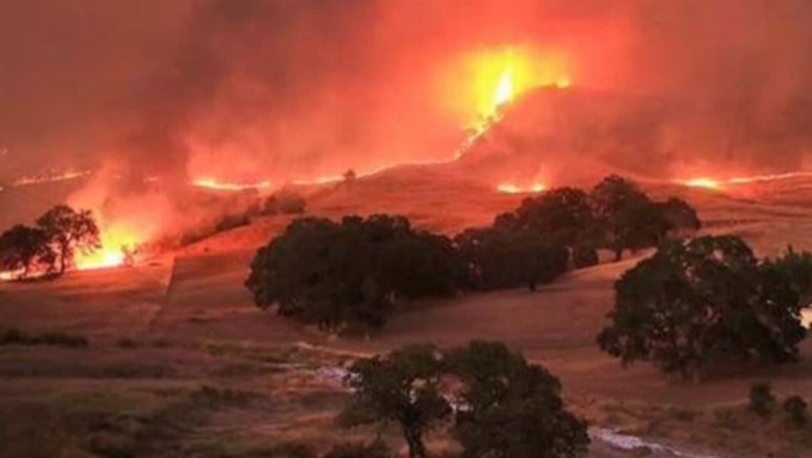 feuer.JPG