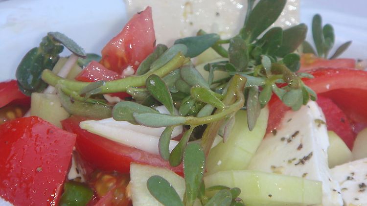 Statt der üblichen Kapernäpfel ziert hier Portulak einen griechischen Bauernsalat.