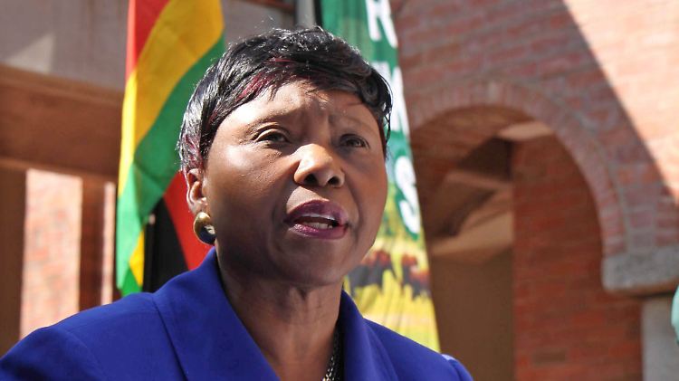 Simbabwes Umweltministerin Muchinguri fordert die Auslieferung von Palmer.