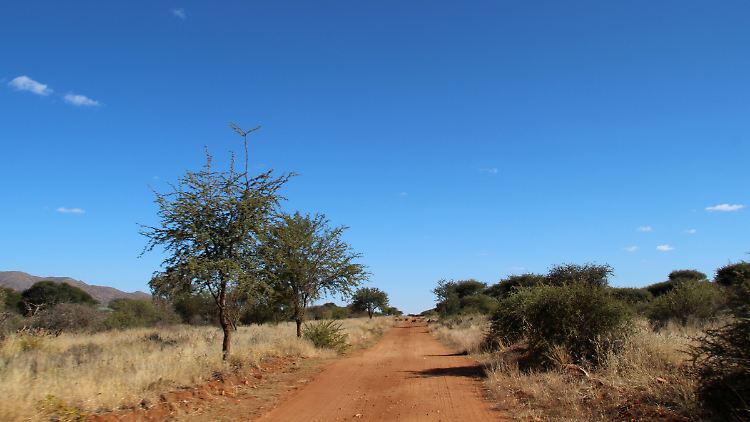 Die frühere Rinderfarm Sonnleiten in Namibia ist eine kleine deutsche Oase. 