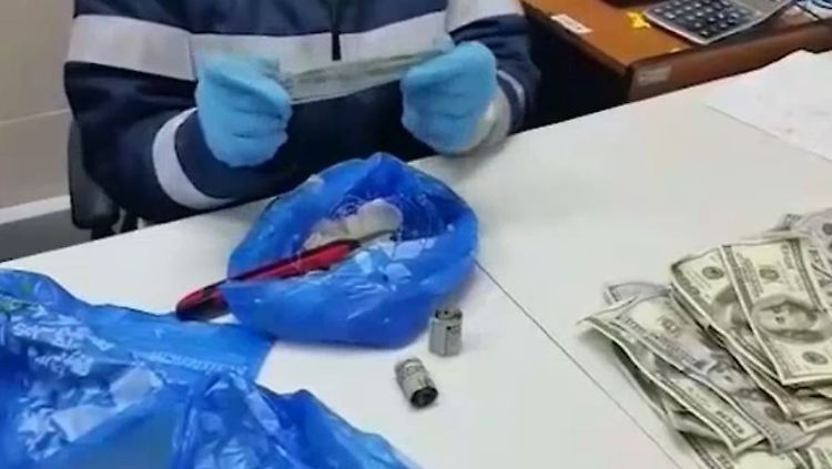 dollar im körper.JPG