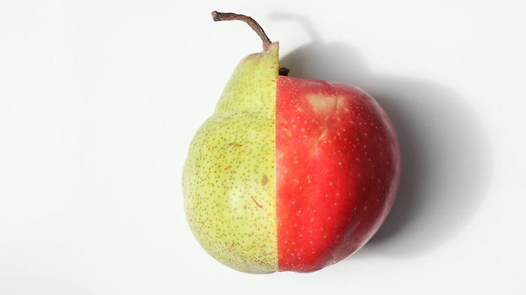 Agrarwissenschaftler der Hochschule Osnabrück wollen Bäume züchten, die marktfähige Hybriden aus Apfel und Birne austragen.