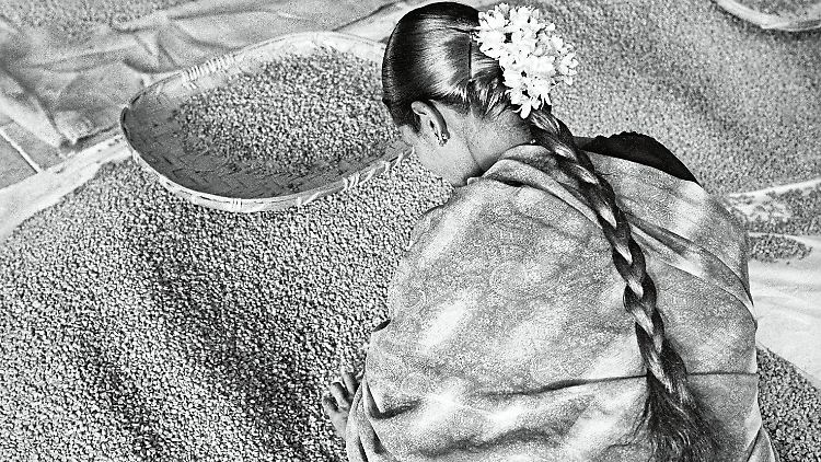 Die Schönheit und Würde der Arbeit beim Kaffeeanbau hat Sebastião Salgado in seinem Bildband "Duft der Träume" festgehalten. (im Bild: Selektion hochwertigen Kaffees für den Export, Allana Coffee Curing Works, Indien, Bundesstaat Karnataka, 2003)