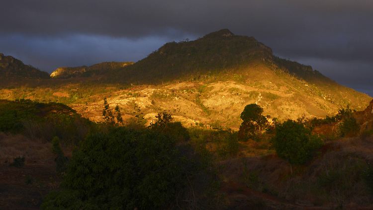 Gerodeter Regenwald auf Madagaskar.
