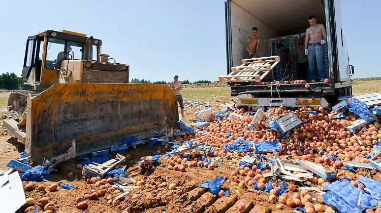 Ein Bulldozer zerstört Kisten mit Pfirsichen nahe der Stadt Nowosybkow. Dutzende Tonnen Lebensmittel wurden auf diese Weise vernichtet.