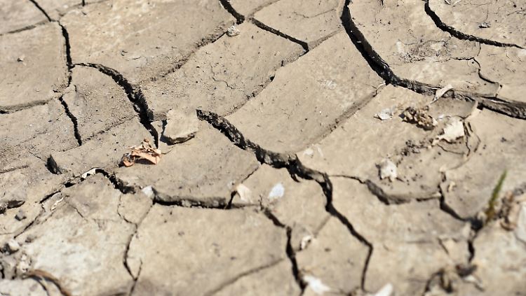 Wegen der fehlenden Niederschläge sinken die Wasserstände dramatisch.