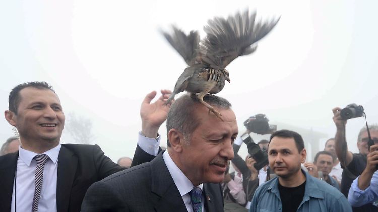 Gelassen trotz Rebhuhn: Erdogan. 