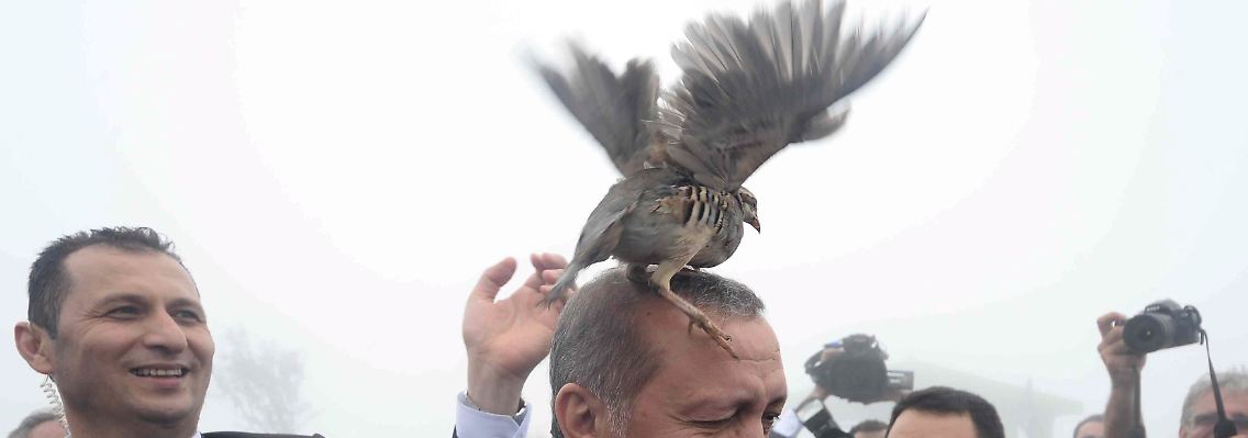 Gelassen trotz Rebhuhn: Erdogan. 