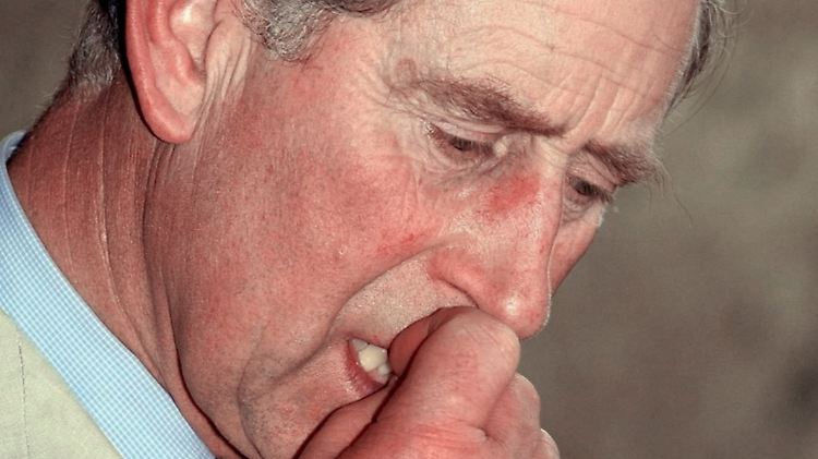 Viele zweifeln die unternehmerischen Fähigkeiten des britischen Thronfolgers an.