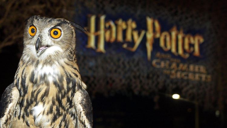 In dem Spin-off dreht sich alles um die magische Tierwelt.