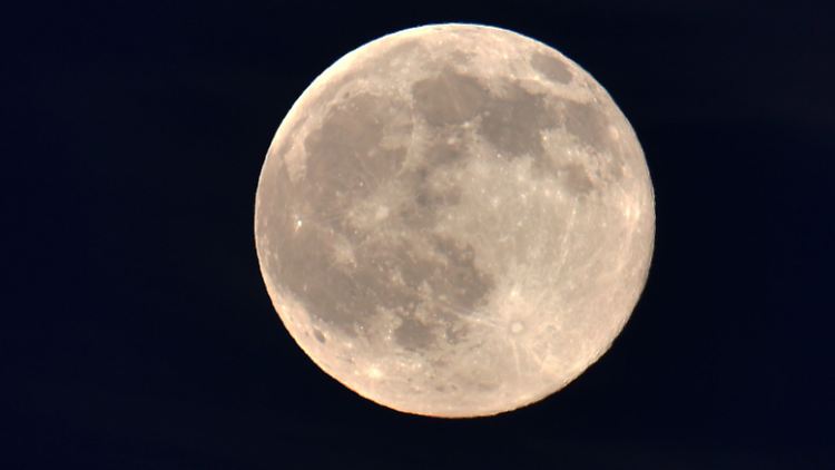 Praller Vollmond am Abend des 2. Juni 2015, fotografiert nahe Potsdam.
