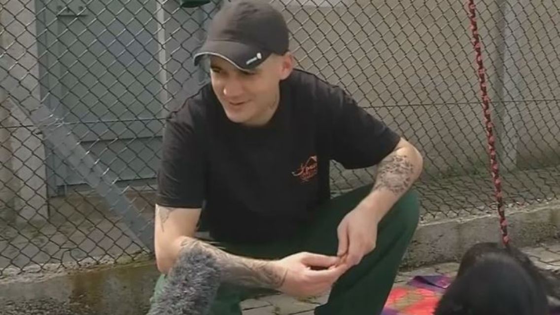 Tierquäler Hunde.JPG