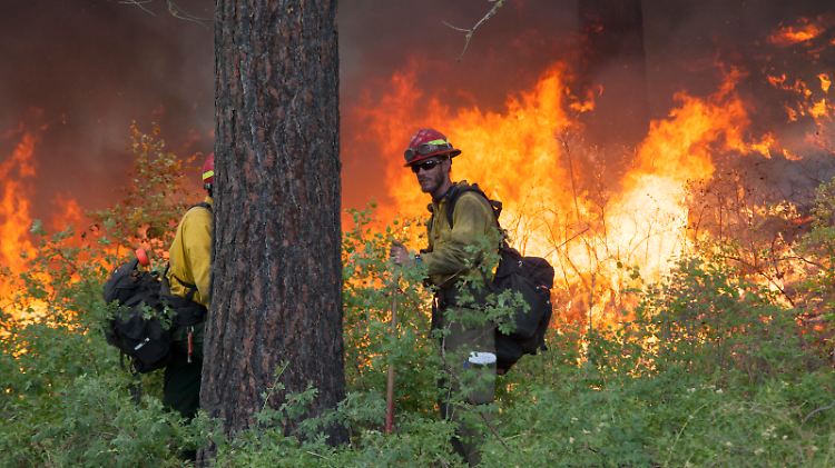 Schon im Vorjahr hatte es Waldbrände in der Region gegeben. Das Feuer zerstörte rund 100 Häuser und sorgte für tausende Stromausfälle.