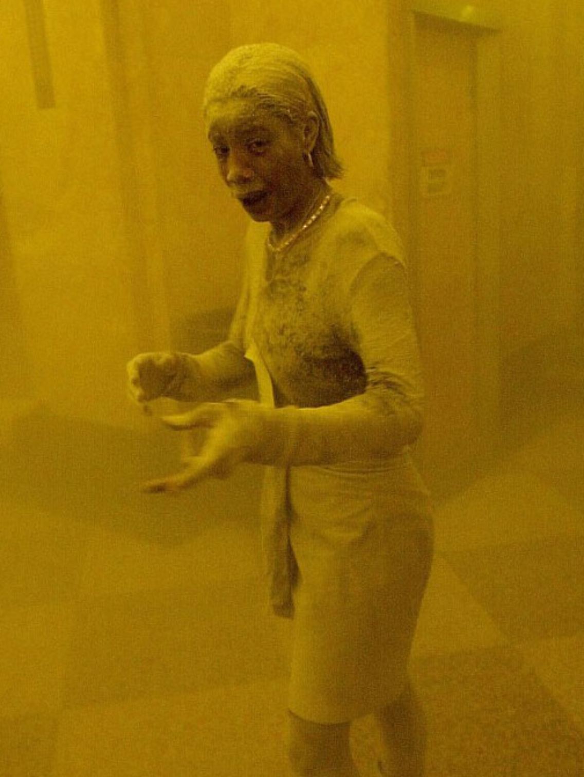 dusty_lady_1.jpg