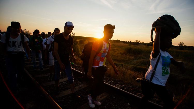 Die UN schätzen, dass täglich etwa 3000 Flüchtlinge die Grenzen der Balkan-Staaten in Richtung Norden überqueren.