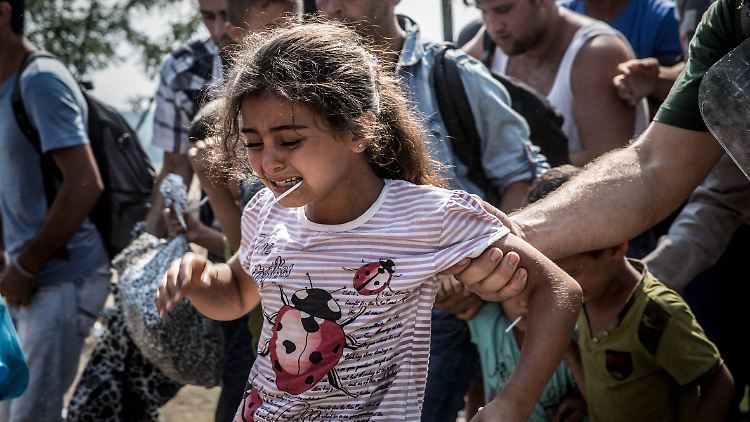 Dramatische Szenen spielen sich an der griechisch-mazedonischen Grenze ab. Fotos dokumentieren die Verzweiflung der Flüchtlinge - mitten in Europa.