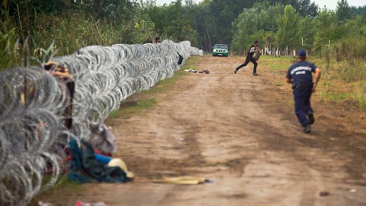 "Nicht mehr weit weg vom Schießbefehl". Polizei jagt Migranten an Ungarn Grenze. 
