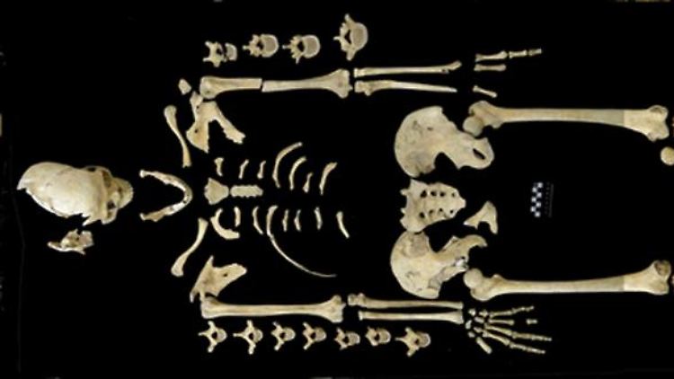 Das Bild zeigt die Reste einer 30- bis 40-jährigen Frau aus der Jungsteinzeit.