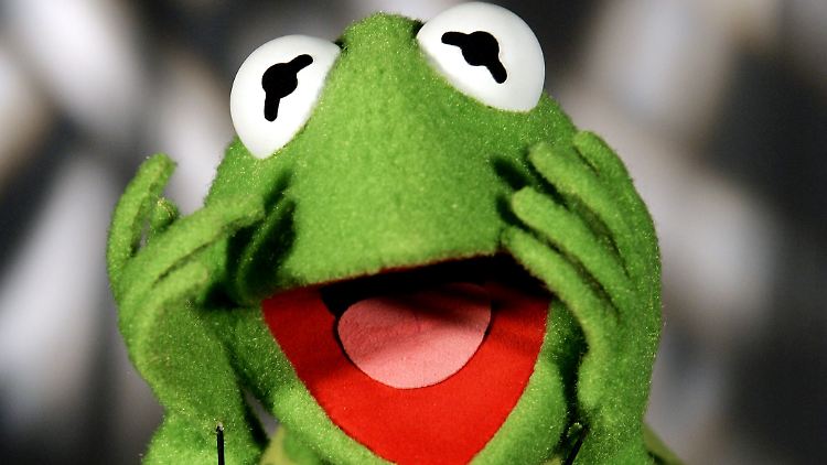 Das hat er sich dann wohl doch nicht so vorgestellt: Kermit.