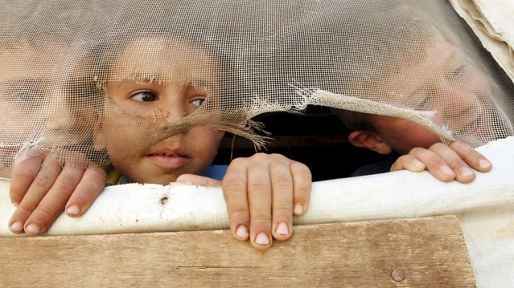 Syrische Flüchtlinge im Libanon werden von der UN-Organisation WFP mit Lebensmitteln versorgt. Doch nicht immer reichen die Rationen aus.